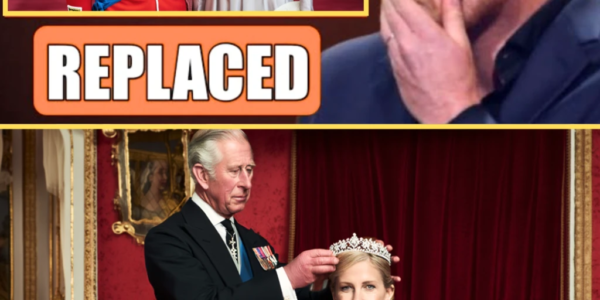 ROYALS SH0CKED! King Charles To Pass SUSSEX TITLE To Duchess Sophie After Clarence House Reunion With Youngest Son – Prince Harry Silently Left the UK in Fury