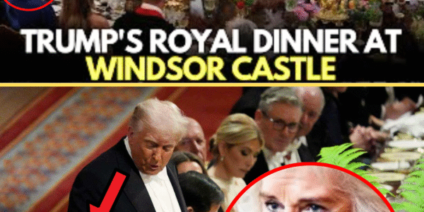 BREAKING Royal Drama: Furious Camilla SRIKES BACK As Donald Trump ‘snubs’Her in favour of Princess Catherine At Windsor Banquet – Palace Is Buzzing Now… BREAKING Royal Drama: Furious Camilla SRIKES BACK As Donald Trump ‘snubs’Her in favour of Princess Catherine At Windsor Banquet – Palace Is Buzzing Now…