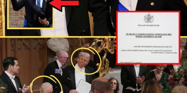ROYALS IN SH0CK! Buckingham Palace HITS BACK After Trump’s EXPL0SIVE COMMENTS Spark Royal Fury ROYALS IN SH0CK! Buckingham Palace HITS BACK After Trump’s EXPL0SIVE COMMENTS Spark Royal Fury