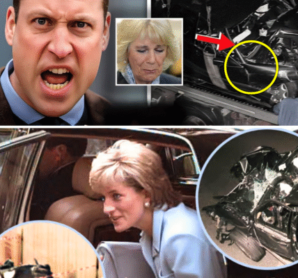 Palace In CHAOS: Camilla FINALLY Named In Diana’s MYSTERIOUS D.ea/th After William Takes Action Palace In CHAOS: Camilla FINALLY Named In Diana’s MYSTERIOUS D.ea/th After William Takes Action