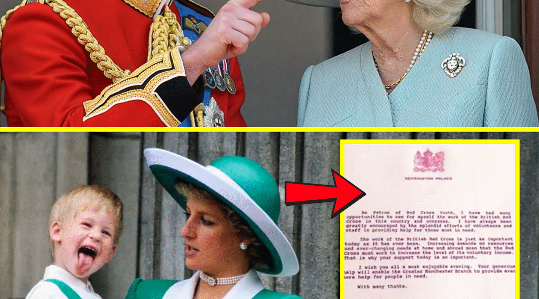 10 MINS AGO: Prince William’s BOLD DECISION at Diana Awards’ Anniversary Leaves Queen Camilla Visibly SH0CKED – “YOU HAVE NO RIGHT TO DO THAT, NEVER!!”