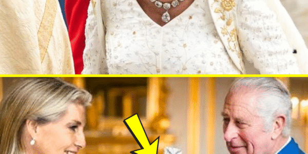 “WHY NOT ME?!”: Camilla GOES NUTS After King Charles Names Sophie As ’SECRET WEAPON To Reshape Monarchy!