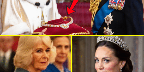 ONE HOUR AGO: Princess Anne’s Unexpected Gift to Princess Catherine On Her BIG Day IGNITES Royal Whispers – SECRET MESSAGE Behind the Special Gift that Makes Camilla SPEECHLESS