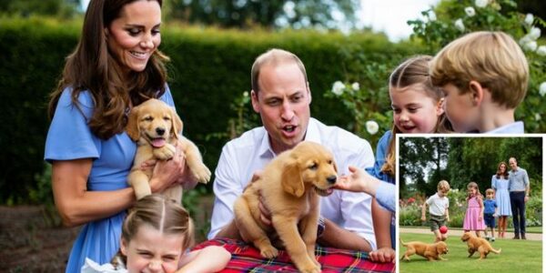 Princess Kate Middleton Reveals Adorable New Family Members on Prince William’s Birthday! Just when we thought the royal family couldn’t get any more charming, Kate Middleton surprised us with the cutest reveal on Prince William’s birthday! On this special day, as the family gathered to celebrate, Kate shared the heartwarming news that they’ve welcomed two new furry family members! That’s right — Kate, William, and their children, Prince George, Princess Charlotte, and Prince Louis, are now officially a family of pets, with the addition of two adorable dogs! Imagine the joy and excitement in the Middleton-Williams household as they’ve added these playful pups to their family. We can already picture Prince George, Charlotte, and Louis sharing plenty of laughs and love with their new four-legged companions. It’s the perfect way to mark such a special occasion, and we can’t help but swoon over how down-to-earth and family-oriented the royals are. Kate has always shown that behind the elegance and the royal duties, she’s a loving mother who wants to create the best family memories for her children — and what better way to do that than by welcoming a couple of playful pups into the fold?