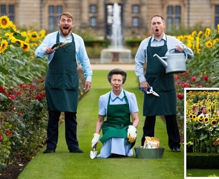 PRINCESS ANNE’S GARDENING CHAOS! Move over roses — the royal gardens have just been completely transformed! Princess Anne has shocked palace staff by planting more than 200 towering sunflowers right in the middle of the historic rose garden. When baffled gardeners asked her why, she gave the most iconic answer ever: “Roses look too serious. Sunflowers smile back at you.” Fans are LOVING it, calling Anne the royal family’s true wild spirit  — unafraid to break centuries of tradition with a single witty one-liner (and a whole lot of sunflower seeds!). But palace gardeners? Not so thrilled. After years of carefully breeding delicate roses, they now find themselves battling a sea of happy, golden blooms that refuse to be ignored