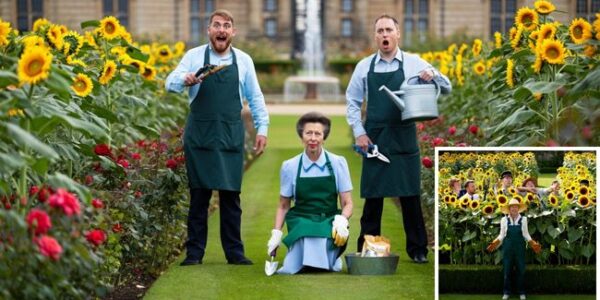 PRINCESS ANNE’S GARDENING CHAOS! Move over roses — the royal gardens have just been completely transformed! Princess Anne has shocked palace staff by planting more than 200 towering sunflowers right in the middle of the historic rose garden. When baffled gardeners asked her why, she gave the most iconic answer ever: “Roses look too serious. Sunflowers smile back at you.” Fans are LOVING it, calling Anne the royal family’s true wild spirit  — unafraid to break centuries of tradition with a single witty one-liner (and a whole lot of sunflower seeds!). But palace gardeners? Not so thrilled. After years of carefully breeding delicate roses, they now find themselves battling a sea of happy, golden blooms that refuse to be ignored