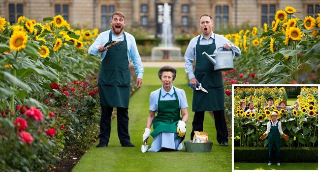 PRINCESS ANNE’S GARDENING CHAOS! Move over roses — the royal gardens have just been completely transformed! Princess Anne has shocked palace staff by planting more than 200 towering sunflowers right in the middle of the historic rose garden. When baffled gardeners asked her why, she gave the most iconic answer ever: “Roses look too serious. Sunflowers smile back at you.” Fans are LOVING it, calling Anne the royal family’s true wild spirit  — unafraid to break centuries of tradition with a single witty one-liner (and a whole lot of sunflower seeds!). But palace gardeners? Not so thrilled. After years of carefully breeding delicate roses, they now find themselves battling a sea of happy, golden blooms that refuse to be ignored