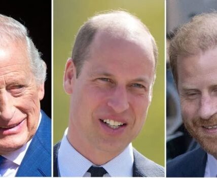 “King Charles ‘Less Irritated With Harry Than William’ – Shocking New Royal Relationship Revealed”. According to an exclusive royal source, in recent conversations, King Charles is said to be less irritated with Harry than William, which has surprised observers. While the public often thinks that William is his favorite son, the reality behind the scenes shows that the relationship with Harry is balanced and sometimes… more pleasant. The comparison between attitudes towards Harry and William not only stunned royal observers but also opened up a new mystery about the father-son relationship in the world’s most powerful family. What is really going on behind the scenes, and are long-standing tensions being eased or quietly building up again?