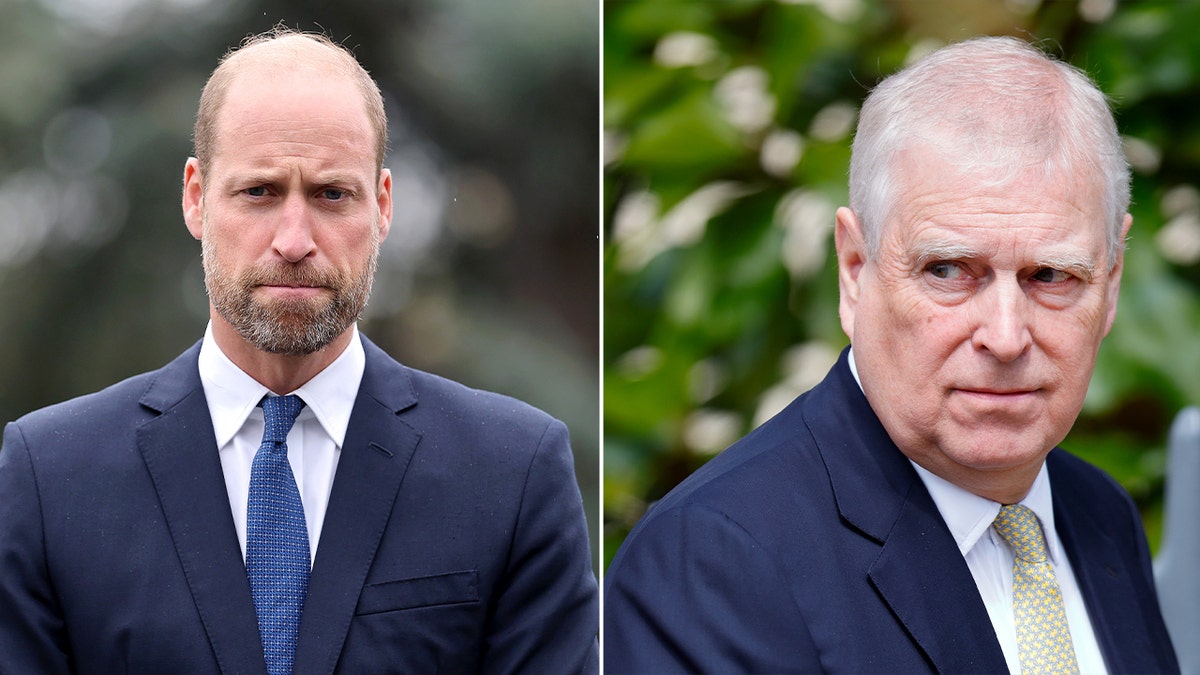 Prince Andrew relinquishes royal title as expert calls move 'essential' |  Fox News