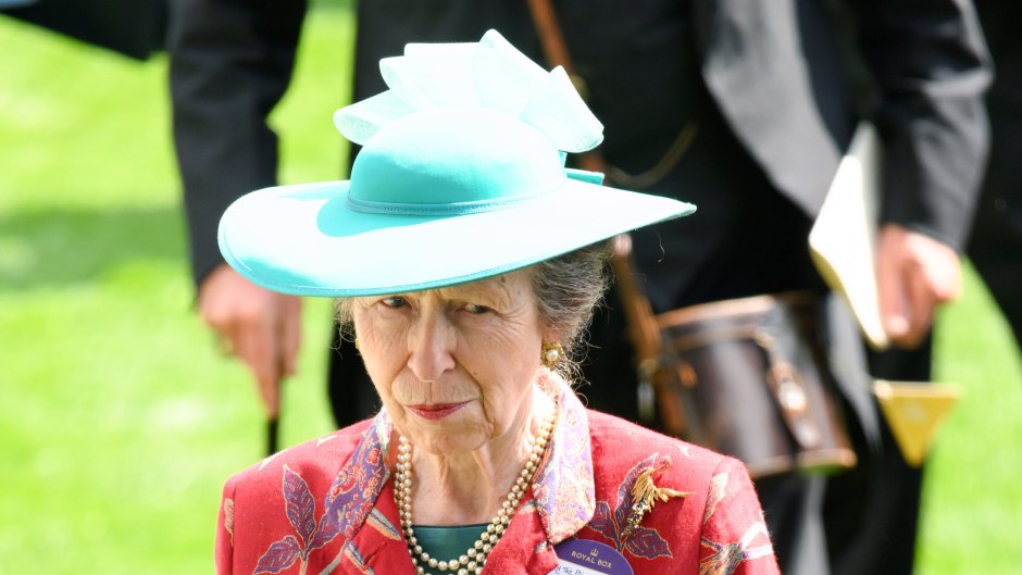 Princess Anne Hospitalized With Minor Injuries After 'Incident' | Closer  Weekly