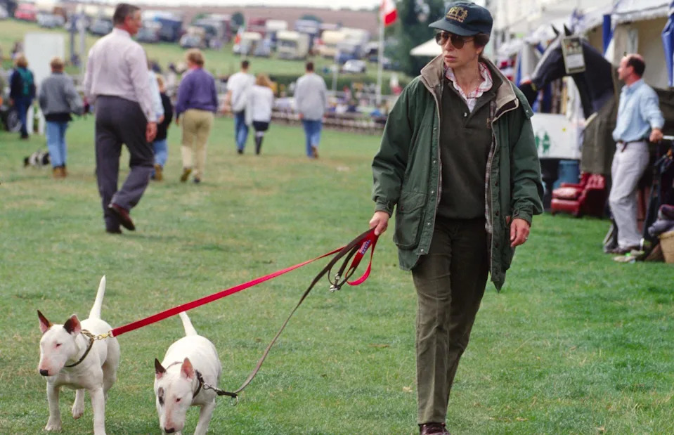 <p>Tim Graham Photo Library via Getty Images</p>