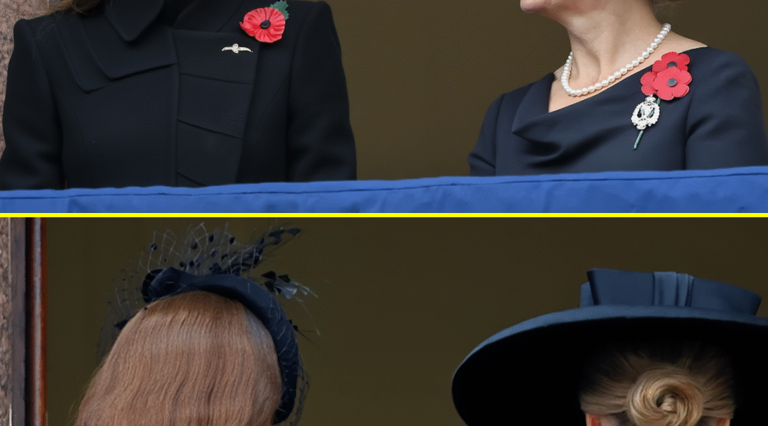 “SO SWEET”: Princess Catherine and Duchess Sophie’s HEARTWARMING Gestures On Remembrance Balcony Touched the Nation