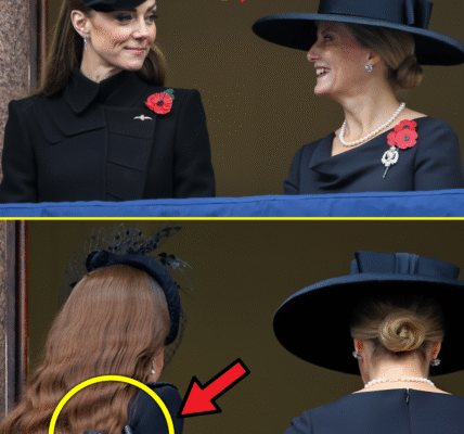 “SO SWEET”: Princess Catherine and Duchess Sophie’s HEARTWARMING Gestures On Remembrance Balcony Touched the Nation “SO SWEET”: Princess Catherine and Duchess Sophie’s HEARTWARMING Gestures On Remembrance Balcony Touched the Nation