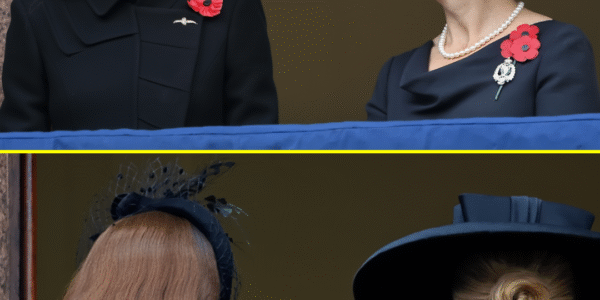 “SO SWEET”: Princess Catherine and Duchess Sophie’s HEARTWARMING Gestures On Remembrance Balcony Touched the Nation