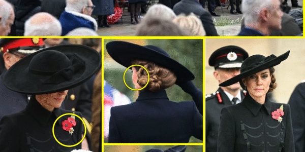 OMG!! Catherine ROCKED The Nation With A SH0CKING MESSAGE Through Her Black Outfit For Powerful Armistice Day Commemoration at National Memorial Arboretum OMG!! Catherine ROCKED The Nation With A SH0CKING MESSAGE Through Her Black Outfit For Powerful Armistice Day Commemoration at National Memorial Arboretum