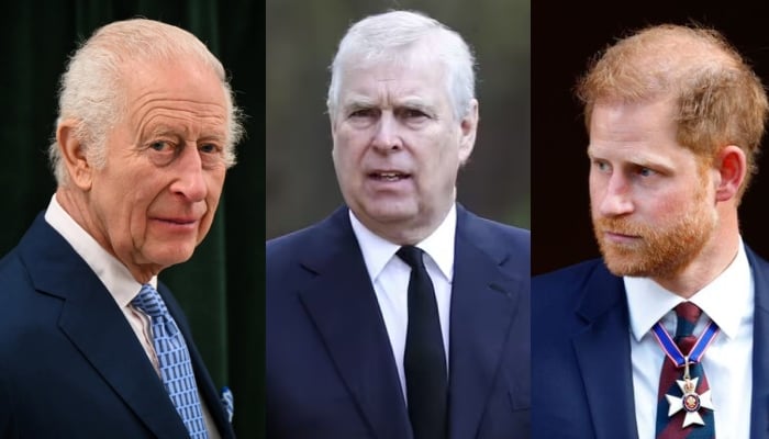 King Charles takes surprise decision for Andrew, Harry's royal titles
