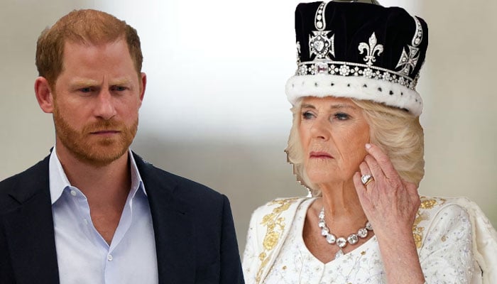 Queen Camilla sends Prince Harry a message after King Charles meeting