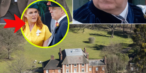 CROWN SHOCKWAVE: Prince William Reportedly Moves to Push Out Prince Andrew — “He Wants Him Gone by Bonfire Night,” Insider Claims CROWN SHOCKWAVE: Prince William Reportedly Moves to Push Out Prince Andrew — “He Wants Him Gone by Bonfire Night,” Insider Claims