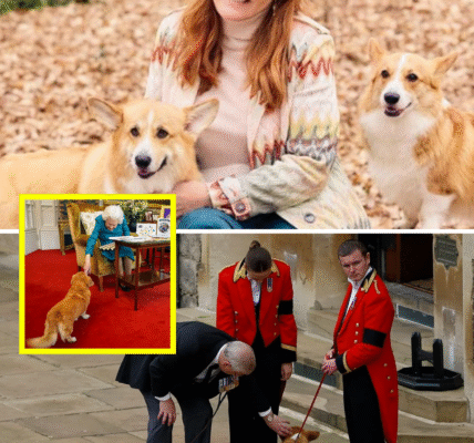 ROYAL REVEAL: Palace CONFIRMS Fate of Late Queen’s Beloved Corgis at Royal Lodge — “They’re In The Best Hands” ROYAL REVEAL: Palace CONFIRMS Fate of Late Queen’s Beloved Corgis at Royal Lodge — “They’re In The Best Hands”