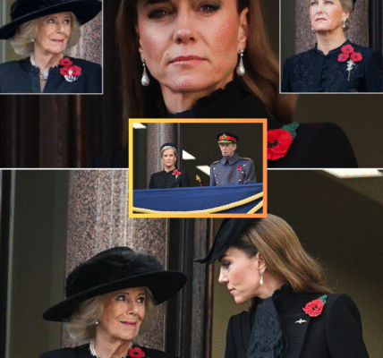 ROYAL EYE-CATCHER! Queen Camilla and Sophie Make a Bold Statement With Three Poppies — But Princess Kate Chooses a Different Path ROYAL EYE-CATCHER! Queen Camilla and Sophie Make a Bold Statement With Three Poppies — But Princess Kate Chooses a Different Path