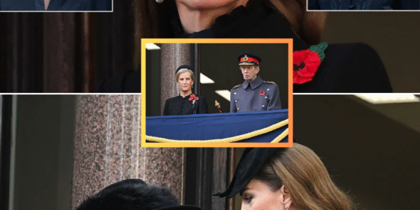 ROYAL EYE-CATCHER! Queen Camilla and Sophie Make a Bold Statement With Three Poppies — But Princess Kate Chooses a Different Path ROYAL EYE-CATCHER! Queen Camilla and Sophie Make a Bold Statement With Three Poppies — But Princess Kate Chooses a Different Path