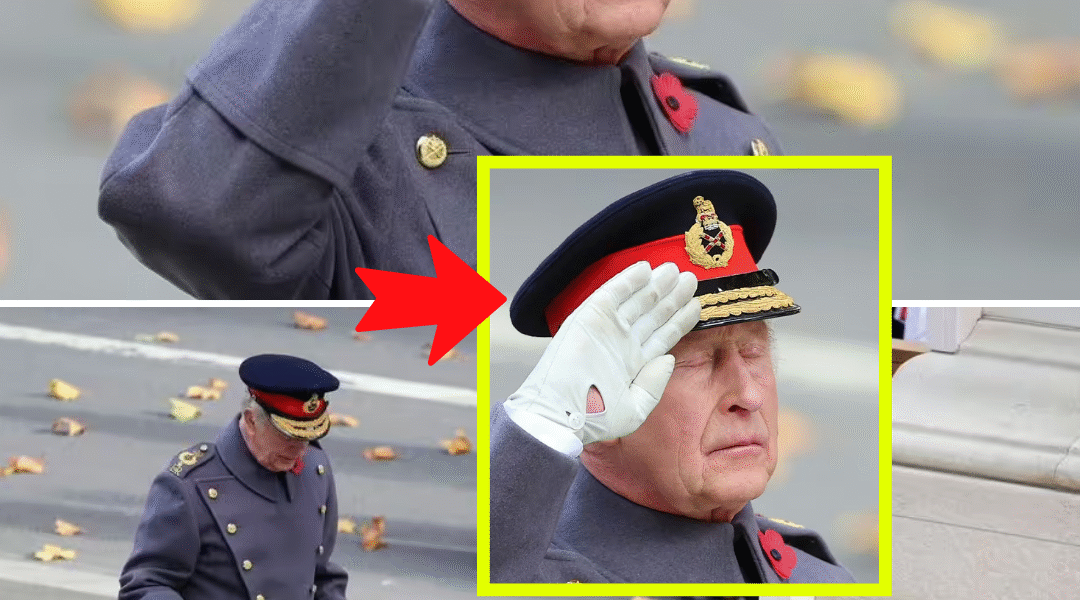 ROYALS IN SH0:CK! The Secret Message Behind King Charles’s Remembrance Appearance Leaves Fans GASPING — “He Knew Exactly What He Was Doing!”