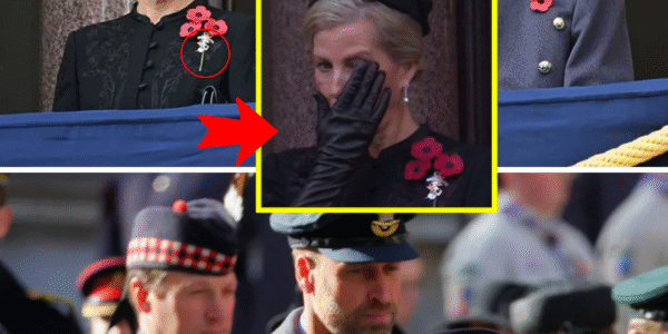 OMG!! Duchess of Edinburgh Overcome With TEARS During Remembrance Sunday Service — Royals and Fans Left STUNNED