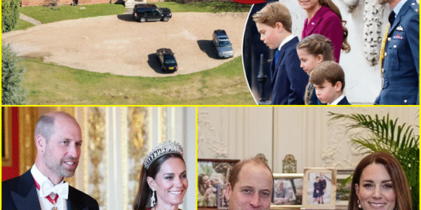 JUST IN: Princess Kate Releases Special Video After Completing Move to Forest Lodge — Fans EMOTIONAL