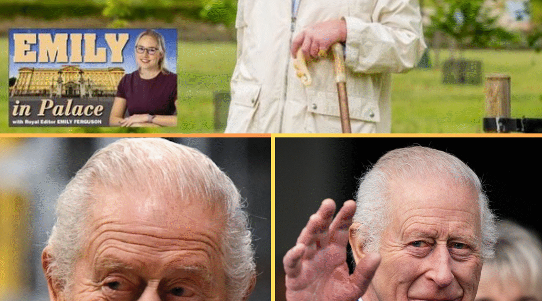 ROYAL BOMBSHELL! Palace insiders have finally revealed why King Charles refuses to slow down — even on his own birthday ROYAL BOMBSHELL! Palace insiders have finally revealed why King Charles refuses to slow down — even on his own birthday