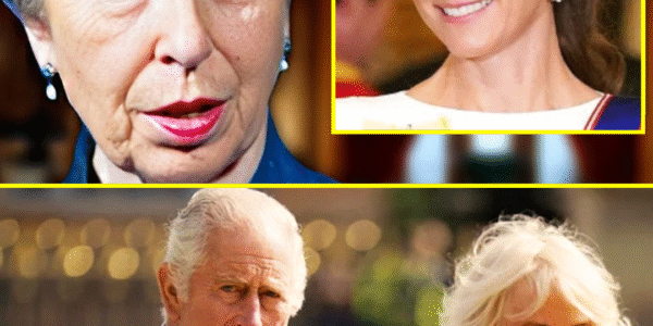 SH0CKING Royal Drama: Camilla SPEECHLESS As Princess Anne Reveals Queen’s Important Message About Catherine 😱👇👇