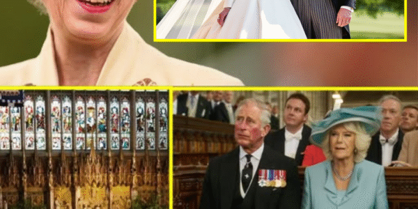 BREAKING TODAY: Peter Phillips and NHS Nurse Harriet Sperling’s Wedding Plan FINALLY DROPPED – But One Surprisingly Important Name Was Nowhere to Be Found