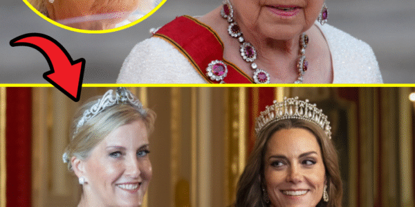 “NEW TIARA, NEW ASCEND”: Sophie’s NEW Aquamarine Tiara SHATTERS Camilla’s Power – Confirm Catherine Monarchy’s True Leader