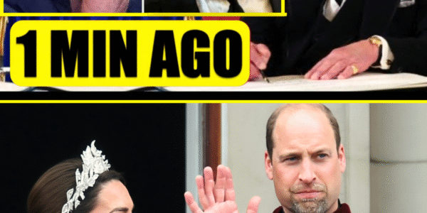 IT’S HAPPENING! King Charles To REMOVE Harry And Andrew From Line Of Succession – A BOMBSHELL Announcement Stuns the Palace and Royal Fans Worldwide