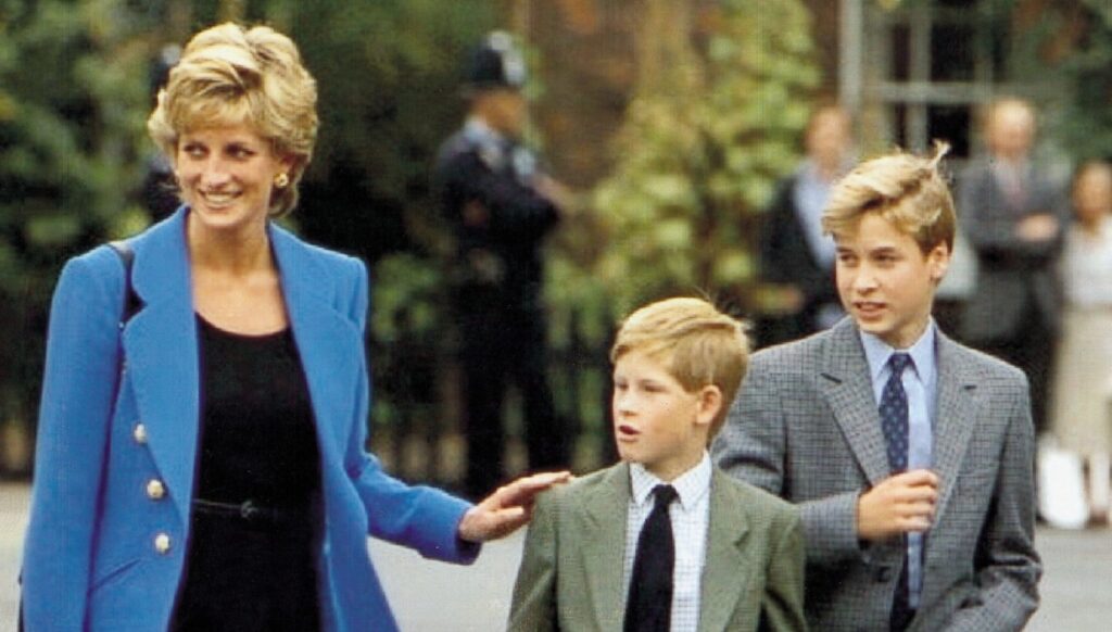 Princess Diana, Prince Harry and Prince William in 1995
