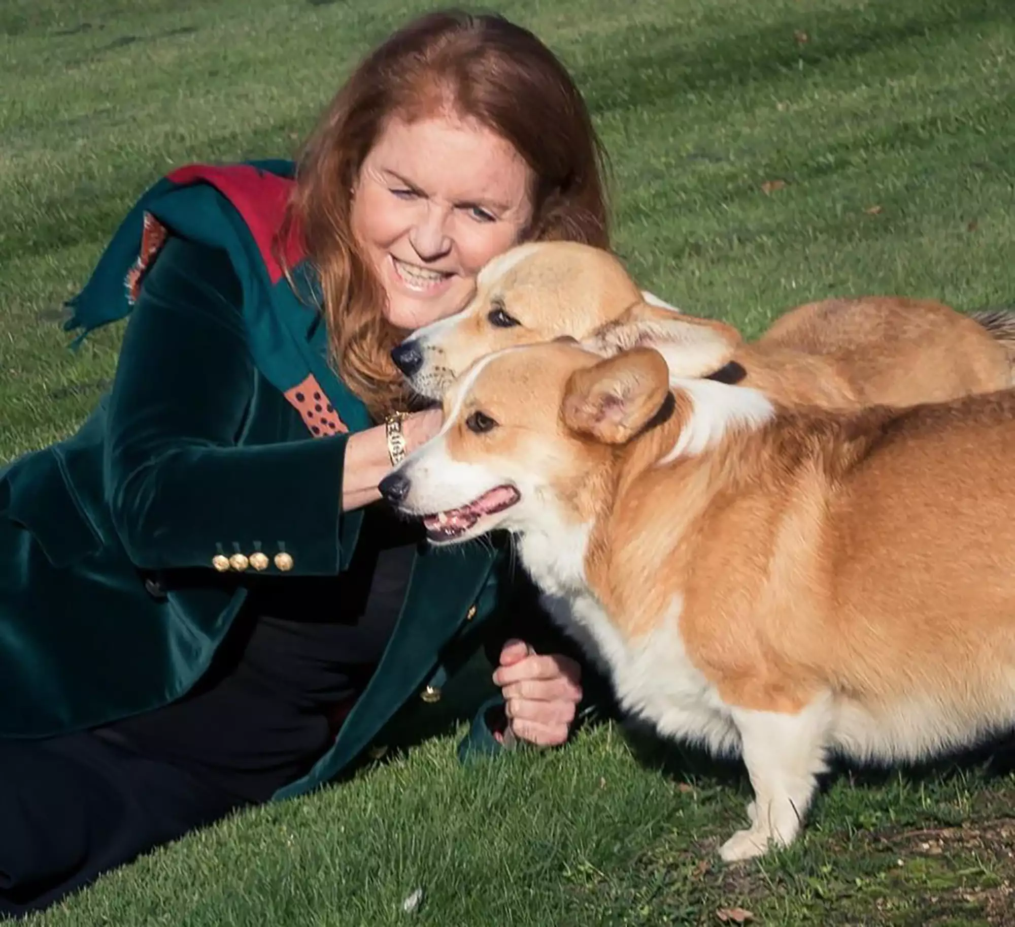 Sarah Ferguson and corgis