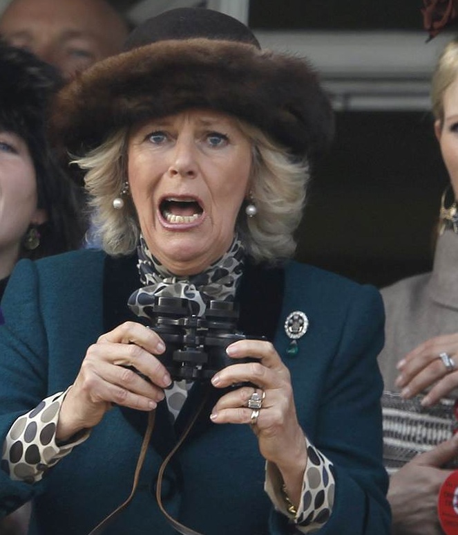 Body Language & Emotional Intelligence: Negotiation Nonverbal Communication  Secret # 1421: Camilla's Surprise and Fear