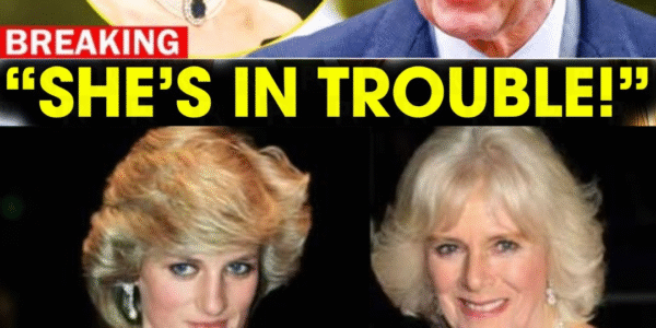 ONE HOUR AGO: King Charles, 77, FINALLY BREAKS HIS SILENCE on Princess Diana — And the Jaw-Dropping Truth He Just Revealed Could Rewrite Royal History Forever