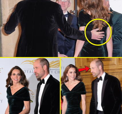 CAUGHT ON CAMERA: William and Catherine’s RARE PDA PUBLIC Moment At Royal Variety Performance GOES VIRAL and Make Fans Crazy CAUGHT ON CAMERA: William and Catherine’s RARE PDA PUBLIC Moment At Royal Variety Performance GOES VIRAL and Make Fans Crazy