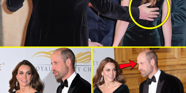 CAUGHT ON CAMERA: William and Catherine’s RARE PDA PUBLIC Moment At Royal Variety Performance GOES VIRAL and Make Fans Crazy