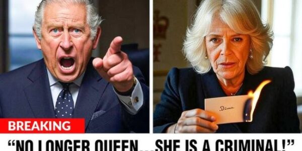 “CAMILLA DID IT” — Nearly 3 decades later, Charles Spencer drops an explosive bombshell that’s SHAKING the royal family to its core!  After years of speculation, whispers, and unsaid words, Diana’s brother, Charles Spencer, has finally broken his silence with a jaw-dropping revelation. He’s not holding back — and what he shared about his sister’s marriage to Prince Charles will leave you speechless.  In a bombshell interview, Spencer doesn’t mince words, naming Camilla as a central figure in the pain that Princess Diana endured. His shocking claim? “Camilla did it” — and it’s not just about an affair. It’s about a pattern of emotional neglect and manipulation that pushed Diana to her breaking point.  This is no ordinary family feud. This is the raw truth, unfiltered and years in the making. Charles Spencer is exposing the hidden layers of royal drama that have remained locked away for decades, and the revelation has sent shockwaves straight to the palace.  What did he reveal? How did Camilla influence Diana’s life? The royal family — and the world — are reeling. King Charles and Queen Consort Camilla’s reactions have been nothing short of stunned silence, and the monarchy will never be the same again