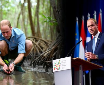 “William is truly a people’s king.” On his second day in Brazil, HRH Prince William showed the world exactly what modern leadership looks like — not from a palace balcony, but from the muddy mangroves of Paquetá Island. By morning, the Prince of Wales rolled up his sleeves alongside local conservationists, helping restore the island’s fragile mangrove ecosystem — laughing, learning, and listening as he worked shoulder to shoulder with volunteers. Residents said he was “kind, curious, and completely genuine.” And by evening, he stood before world leaders at the United for Wildlife Summit in Rio — delivering a powerful message that echoed far beyond the room: “Environmental crime isn’t just a conservation issue — it’s a threat to global stability.” 🌎 From planting trees to confronting the global networks behind illegal wildlife trade, Prince William’s day was a masterclass in humility, compassion, and purpose. He didn’t just talk about change — he lived it. Locals called him “the people’s king,” and even longtime critics are praising his hands-on approach to leadership that bridges communities, conservation, and global action. This is what modern royalty looks like — grounded, global, and guided by impact, not image “William is truly a people’s king.” On his second day in Brazil, HRH Prince William showed the world exactly what modern leadership looks like — not from a palace balcony, but from the muddy mangroves of Paquetá Island. By morning, the Prince of Wales rolled up his sleeves alongside local conservationists, helping restore the island’s fragile mangrove ecosystem — laughing, learning, and listening as he worked shoulder to shoulder with volunteers. Residents said he was “kind, curious, and completely genuine.” And by evening, he stood before world leaders at the United for Wildlife Summit in Rio — delivering a powerful message that echoed far beyond the room: “Environmental crime isn’t just a conservation issue — it’s a threat to global stability.” 🌎 From planting trees to confronting the global networks behind illegal wildlife trade, Prince William’s day was a masterclass in humility, compassion, and purpose. He didn’t just talk about change — he lived it. Locals called him “the people’s king,” and even longtime critics are praising his hands-on approach to leadership that bridges communities, conservation, and global action. This is what modern royalty looks like — grounded, global, and guided by impact, not image
