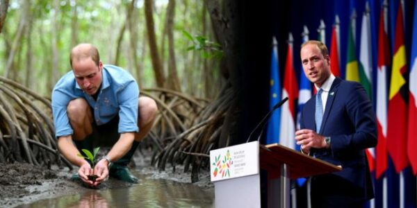 “William is truly a people’s king.” On his second day in Brazil, HRH Prince William showed the world exactly what modern leadership looks like — not from a palace balcony, but from the muddy mangroves of Paquetá Island. By morning, the Prince of Wales rolled up his sleeves alongside local conservationists, helping restore the island’s fragile mangrove ecosystem — laughing, learning, and listening as he worked shoulder to shoulder with volunteers. Residents said he was “kind, curious, and completely genuine.” And by evening, he stood before world leaders at the United for Wildlife Summit in Rio — delivering a powerful message that echoed far beyond the room: “Environmental crime isn’t just a conservation issue — it’s a threat to global stability.” 🌎 From planting trees to confronting the global networks behind illegal wildlife trade, Prince William’s day was a masterclass in humility, compassion, and purpose. He didn’t just talk about change — he lived it. Locals called him “the people’s king,” and even longtime critics are praising his hands-on approach to leadership that bridges communities, conservation, and global action. This is what modern royalty looks like — grounded, global, and guided by impact, not image “William is truly a people’s king.” On his second day in Brazil, HRH Prince William showed the world exactly what modern leadership looks like — not from a palace balcony, but from the muddy mangroves of Paquetá Island. By morning, the Prince of Wales rolled up his sleeves alongside local conservationists, helping restore the island’s fragile mangrove ecosystem — laughing, learning, and listening as he worked shoulder to shoulder with volunteers. Residents said he was “kind, curious, and completely genuine.” And by evening, he stood before world leaders at the United for Wildlife Summit in Rio — delivering a powerful message that echoed far beyond the room: “Environmental crime isn’t just a conservation issue — it’s a threat to global stability.” 🌎 From planting trees to confronting the global networks behind illegal wildlife trade, Prince William’s day was a masterclass in humility, compassion, and purpose. He didn’t just talk about change — he lived it. Locals called him “the people’s king,” and even longtime critics are praising his hands-on approach to leadership that bridges communities, conservation, and global action. This is what modern royalty looks like — grounded, global, and guided by impact, not image