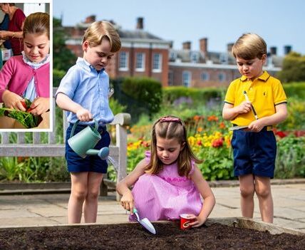 Prince William is speaking from the heart — and he’s not holding back. In a rare and refreshingly honest conversation, the future King opened up about the kind of royal future he and Kate Middleton want for their children — one built on kindness, purpose, and balance, not outdated traditions or royal pressure. William admits he’s “quite frank” about wanting change — not just for the monarchy, but for George, Charlotte, and Louis. The couple hopes to raise their kids with normality, emotional intelligence, and compassion at the center of their royal lives. No phones, less formality, and more genuine connection. After a difficult year marked by family health challenges, William’s words feel even more powerful: “I want my children to be proud of what we do — and to know it makes a difference.” It’s a new chapter for the royal family — one that feels more human, more hopeful, and more in tune with the world today Prince William is speaking from the heart — and he’s not holding back. In a rare and refreshingly honest conversation, the future King opened up about the kind of royal future he and Kate Middleton want for their children — one built on kindness, purpose, and balance, not outdated traditions or royal pressure. William admits he’s “quite frank” about wanting change — not just for the monarchy, but for George, Charlotte, and Louis. The couple hopes to raise their kids with normality, emotional intelligence, and compassion at the center of their royal lives. No phones, less formality, and more genuine connection. After a difficult year marked by family health challenges, William’s words feel even more powerful: “I want my children to be proud of what we do — and to know it makes a difference.” It’s a new chapter for the royal family — one that feels more human, more hopeful, and more in tune with the world today