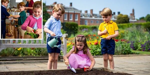 Prince William is speaking from the heart — and he’s not holding back.  In a rare and refreshingly honest conversation, the future King opened up about the kind of royal future he and Kate Middleton want for their children — one built on kindness, purpose, and balance, not outdated traditions or royal pressure. William admits he’s “quite frank” about wanting change — not just for the monarchy, but for George, Charlotte, and Louis. The couple hopes to raise their kids with normality, emotional intelligence, and compassion at the center of their royal lives. No phones, less formality, and more genuine connection. After a difficult year marked by family health challenges, William’s words feel even more powerful: “I want my children to be proud of what we do — and to know it makes a difference.”  It’s a new chapter for the royal family — one that feels more human, more hopeful, and more in tune with the world today