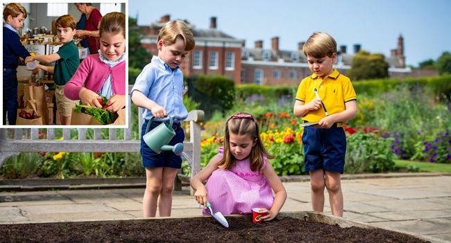 Prince William is speaking from the heart — and he’s not holding back. In a rare and refreshingly honest conversation, the future King opened up about the kind of royal future he and Kate Middleton want for their children — one built on kindness, purpose, and balance, not outdated traditions or royal pressure. William admits he’s “quite frank” about wanting change — not just for the monarchy, but for George, Charlotte, and Louis. The couple hopes to raise their kids with normality, emotional intelligence, and compassion at the center of their royal lives. No phones, less formality, and more genuine connection. After a difficult year marked by family health challenges, William’s words feel even more powerful: “I want my children to be proud of what we do — and to know it makes a difference.” It’s a new chapter for the royal family — one that feels more human, more hopeful, and more in tune with the world today Prince William is speaking from the heart — and he’s not holding back. In a rare and refreshingly honest conversation, the future King opened up about the kind of royal future he and Kate Middleton want for their children — one built on kindness, purpose, and balance, not outdated traditions or royal pressure. William admits he’s “quite frank” about wanting change — not just for the monarchy, but for George, Charlotte, and Louis. The couple hopes to raise their kids with normality, emotional intelligence, and compassion at the center of their royal lives. No phones, less formality, and more genuine connection. After a difficult year marked by family health challenges, William’s words feel even more powerful: “I want my children to be proud of what we do — and to know it makes a difference.” It’s a new chapter for the royal family — one that feels more human, more hopeful, and more in tune with the world today