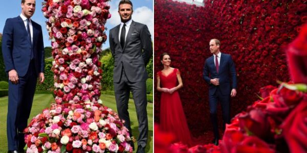 THE 999-ROSE AMBUSH: DAVID BECKHAM HIJACKS WILLIAM & KATE’S ANNIVERSARY WITH A £10,000 FLORAL BOMB! In a move that has left the palace stunned and royal watchers buzzing, David Beckham turned the Prince and Princess of Wales’ intimate anniversary into a full-blown media spectacle with a £10,000 floral bomb. Instead of a simple card or note, Beckham sent 999 blood-red roses — each one the size of a wall — straight into their private home. As the delivery van unloaded stem after stem, staff gasped at the overwhelming sight, filling an entire room with the scent of this audacious gesture. The sheer scale of it was impossible to ignore, and it quickly drowned out whatever private plans William and Kate had for their special day. This wasn’t just a gesture of affection; it was theatre, dominance, and a statement. As cameras snapped and the roses took center stage, it was clear: Beckham’s gift became the image of their anniversary, leaving William and Kate in the shadows. The question remains — why this grand gesture? Was it just a token of friendship, or was there something deeper behind Beckham’s choice to make the Waleses’ day all about him? THE 999-ROSE AMBUSH: DAVID BECKHAM HIJACKS WILLIAM & KATE’S ANNIVERSARY WITH A £10,000 FLORAL BOMB! In a move that has left the palace stunned and royal watchers buzzing, David Beckham turned the Prince and Princess of Wales’ intimate anniversary into a full-blown media spectacle with a £10,000 floral bomb. Instead of a simple card or note, Beckham sent 999 blood-red roses — each one the size of a wall — straight into their private home. As the delivery van unloaded stem after stem, staff gasped at the overwhelming sight, filling an entire room with the scent of this audacious gesture. The sheer scale of it was impossible to ignore, and it quickly drowned out whatever private plans William and Kate had for their special day. This wasn’t just a gesture of affection; it was theatre, dominance, and a statement. As cameras snapped and the roses took center stage, it was clear: Beckham’s gift became the image of their anniversary, leaving William and Kate in the shadows. The question remains — why this grand gesture? Was it just a token of friendship, or was there something deeper behind Beckham’s choice to make the Waleses’ day all about him?