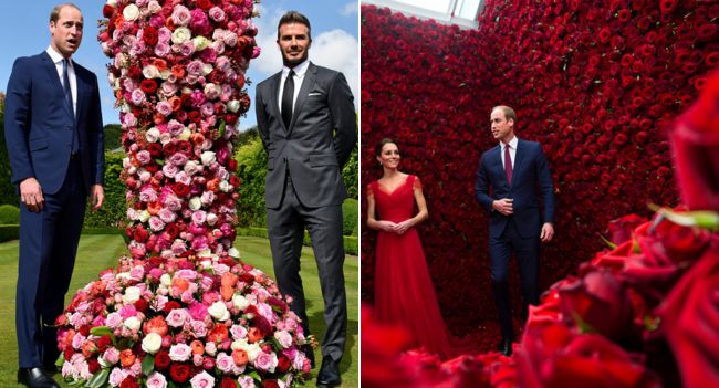 THE 999-ROSE AMBUSH: DAVID BECKHAM HIJACKS WILLIAM & KATE’S ANNIVERSARY WITH A £10,000 FLORAL BOMB! In a move that has left the palace stunned and royal watchers buzzing, David Beckham turned the Prince and Princess of Wales’ intimate anniversary into a full-blown media spectacle with a £10,000 floral bomb. Instead of a simple card or note, Beckham sent 999 blood-red roses — each one the size of a wall — straight into their private home. As the delivery van unloaded stem after stem, staff gasped at the overwhelming sight, filling an entire room with the scent of this audacious gesture. The sheer scale of it was impossible to ignore, and it quickly drowned out whatever private plans William and Kate had for their special day. This wasn’t just a gesture of affection; it was theatre, dominance, and a statement. As cameras snapped and the roses took center stage, it was clear: Beckham’s gift became the image of their anniversary, leaving William and Kate in the shadows. The question remains — why this grand gesture? Was it just a token of friendship, or was there something deeper behind Beckham’s choice to make the Waleses’ day all about him? THE 999-ROSE AMBUSH: DAVID BECKHAM HIJACKS WILLIAM & KATE’S ANNIVERSARY WITH A £10,000 FLORAL BOMB! In a move that has left the palace stunned and royal watchers buzzing, David Beckham turned the Prince and Princess of Wales’ intimate anniversary into a full-blown media spectacle with a £10,000 floral bomb. Instead of a simple card or note, Beckham sent 999 blood-red roses — each one the size of a wall — straight into their private home. As the delivery van unloaded stem after stem, staff gasped at the overwhelming sight, filling an entire room with the scent of this audacious gesture. The sheer scale of it was impossible to ignore, and it quickly drowned out whatever private plans William and Kate had for their special day. This wasn’t just a gesture of affection; it was theatre, dominance, and a statement. As cameras snapped and the roses took center stage, it was clear: Beckham’s gift became the image of their anniversary, leaving William and Kate in the shadows. The question remains — why this grand gesture? Was it just a token of friendship, or was there something deeper behind Beckham’s choice to make the Waleses’ day all about him?