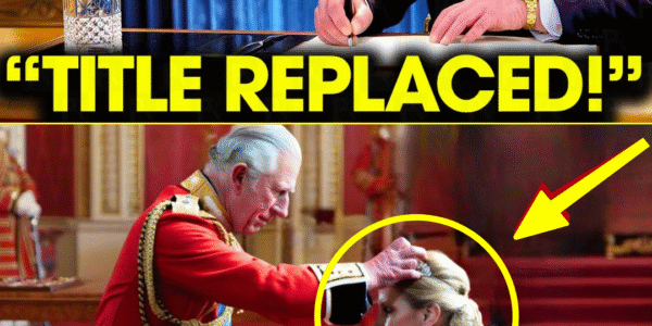 ROYALS IN SH0CK! Duchess Sophie Finally ACCEPTS Role To REPLACE Meghan Markle As Charles Makes SH0CKING Proposal