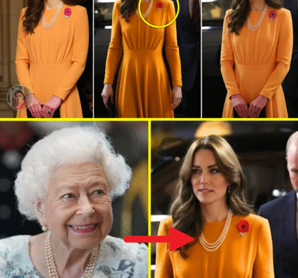 ROYAL REMEMBRANCE ROYALTY: Princess Catherine Stuns in Daring Catherine Walker Gown with Triple Poppy Tribute at Royal Albert Hall — Heartfelt Nod to Fallen Great-Granduncles Steals Hearts!