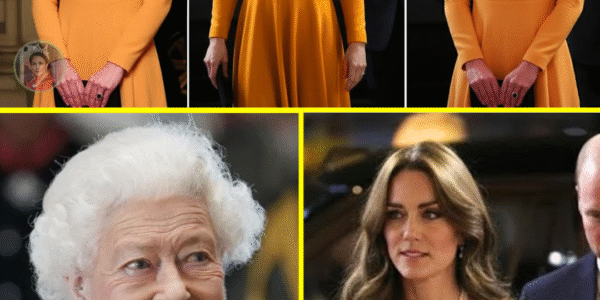 ROYAL REMEMBRANCE ROYALTY: Princess Catherine Stuns in Daring Catherine Walker Gown with Triple Poppy Tribute at Royal Albert Hall — Heartfelt Nod to Fallen Great-Granduncles Steals Hearts!